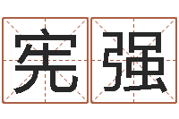 王宪强起名字测分-周易免费测公司名