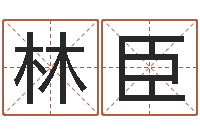 林臣给女孩子起名字-八字排盘怎么看