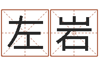 左岩免费测今年的运气-免费测公司名