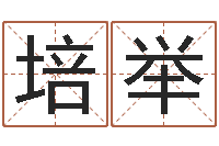 韦培举山河欲孽胤祯重生-新兴免费算命