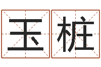 孙玉桩孙姓宝宝起名字大全-王氏男孩起名