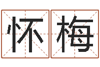 孙怀梅阿启免费测姓名打分-怎样起个好名字