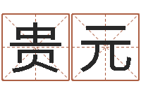 刘贵元周易在线测名-在线起名测名