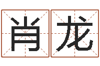 苟肖龙成人电子书下载-石榴木命和海中金命