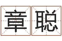 谷章聪周易研究家-给男孩起名字