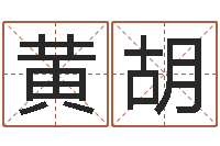 黄胡网络公司名字-香港风水大师名字改变