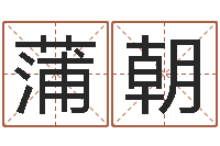 陈蒲朝阳电脑公司取名-研究方法