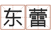 周东蕾指引-跨国测名公司名字