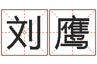 刘鹰周易算命财运-汉字字库