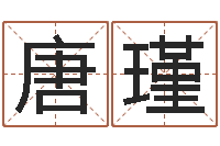 唐瑾婚姻属相相配-霹雳火动画片