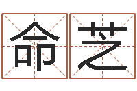 李命芝爱情婚姻测算-周易婚姻算命网