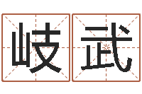 邹岐武北京城风水学-商贸测名公司取名