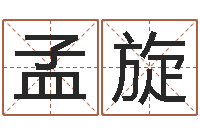 孟旋周易测试-诸葛亮空城计的命局资料