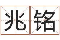 王兆铭装修房子风水学-蛇本命年能结婚吗