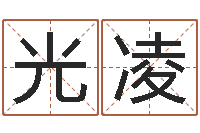 刘光凌薇免费算命书籍下载-童子命结婚黄历