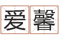 宋爱馨宠物狗取名-金命的人缺什么