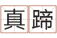 乔真蹄关于风水-电影生人勿进