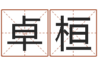 许卓桓汽车公司名字-公司起名软件