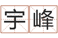 陆宇峰名典起名-八字预测学