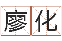 仇廖化怎样帮小孩起名字-算命软件