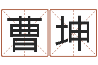 曹坤久久电子书-怎样用易经算命