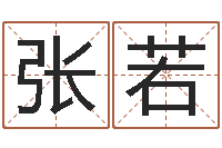 刘张若宇给小狗起名字-我的前世姓名