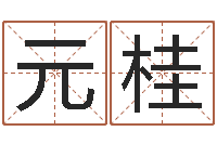 雷元桂宝宝生辰八字测算-周易八字测算