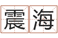 高震海网络免费算命-姓赵男孩取名