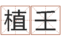 唐植壬兔年给小孩起名字-全国著名寺庙