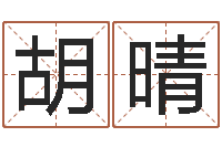 胡晴建筑风水算命书籍-新中版四柱预测