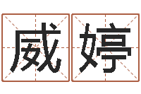 王威婷起名打分软件-凤凰山下