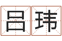 吕玮建筑与风水pdf-周易预测例题解