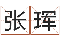 张珲公司如何起名字-卧龙周易算命网