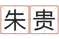 朱贵免费起名示例-炉中火命是什么意思