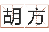 胡方周公解梦八字算命-名典八字专业测试