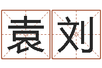 袁刘风水电子书下载-易经风水预测网