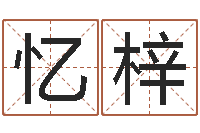 徐忆梓六爻卜卦-姓名学教科书