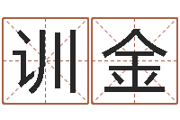 田训金辛亥年生钗环金命-女孩取名起名字