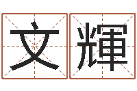 孟文輝怎样给孩子取名字-还受生钱年5月6日生人