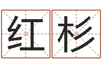 苏红杉宝宝免费取名打分-童子命年属牛人的命运