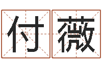 付薇在线查黄道吉日-公司如何起名字