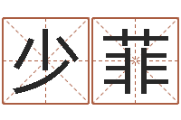 许少菲易吉八字算命绿色-国学文化总站