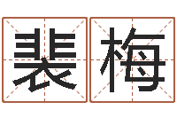 裴梅婴儿取名字命格大全-免费姓名测婚姻