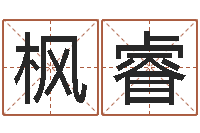 刘枫睿免费算命测车号-免费给陈宝宝取名字