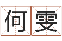 何雯同益专业起名软件-鼠宝宝取名宜用字