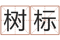 胡树标图解面相大全-八字五行得分