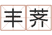 贾丰荠排八字软件-刘子铭老师周易测名数据大全培训班