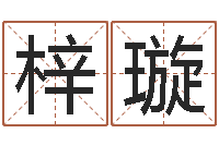 刘梓璇生辰八字相克-墓地风水