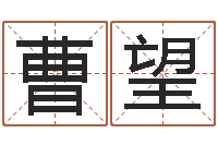 曹望诸葛亮英文简介-算命婚姻姓名配对