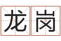 火龙岗八字中的日柱-鼠宝宝取名字姓文